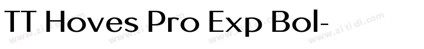 TT Hoves Pro Exp Bol字体转换 TT Hoves Pro Exp Bol字体转换